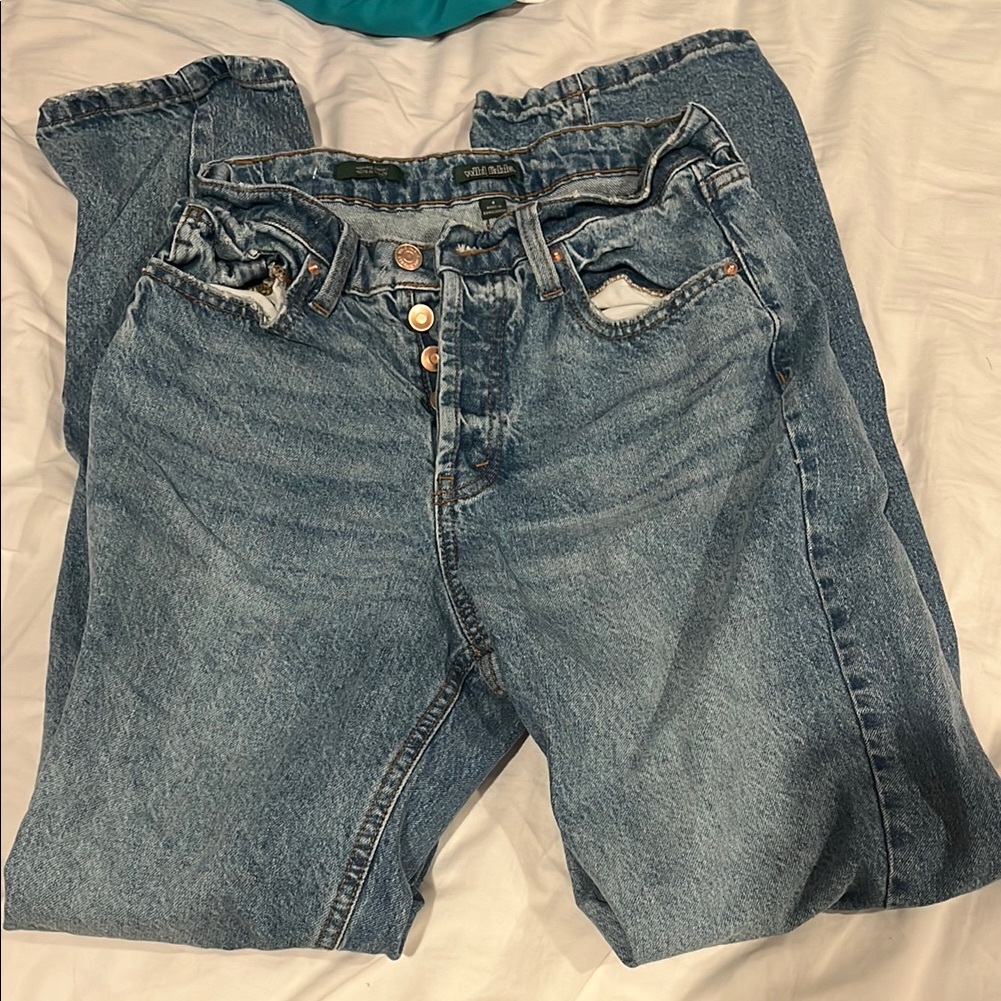 Nwot Women’s Wild Fable Blue Denim Jeans Size 6